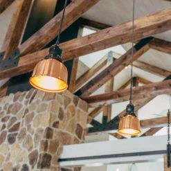 XANLITE - Ampoule à Filament LED A60, Culot E27, 11,8W Cons. (100W Eq.), Lumière Blanche Chaude - RFE1521GO -XANLITE Soldes 13403202 3