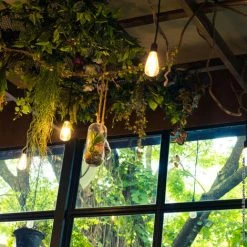 XANLITE - Ampoule à Filament LED Edison, Culot E27, 8W Cons. (75W Eq.), 1055 Lumens, Lumière Blanc Neutre - RFE1055STCW -XANLITE Soldes 18355850 3