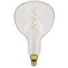 XANLITE - Ampoule LED Giant Fiole / Vintage, Culot E27, 4W Cons. (30W Eq.), 323 Lumens, Lumière Blanc Chaud - RFDGE280RS
