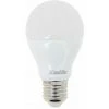 XANLITE - Ampoule LED A60, Culot E27, 11W Cons. (75W Eq.), Lumière Blanc Froid - EE1055GPW