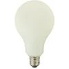 Xanlite - Ampoule Déco éclairante Opaline, Culot E27, 12W Cons. (100W Eq.), Blanc Neutre (4000K) - RFDMGE1521GOCW